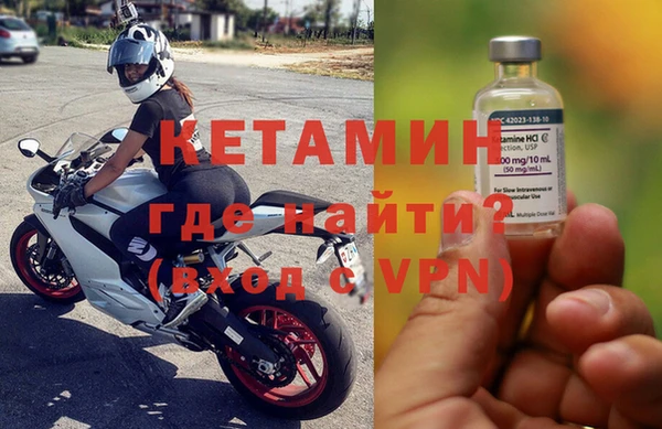гидра Абаза