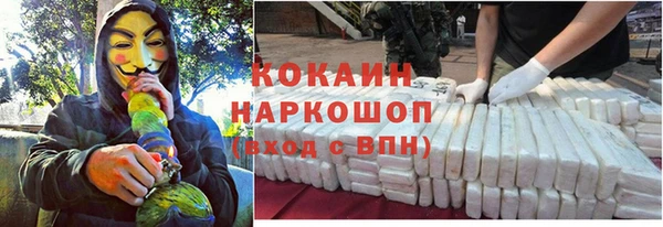 сатива Абинск