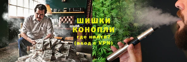 сатива Абинск