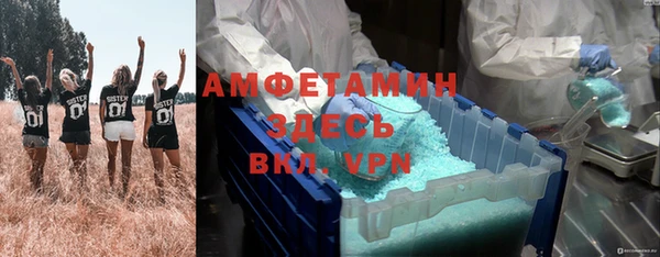 гидра Абаза