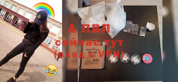 гидра Абаза