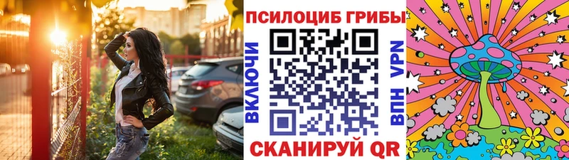 Псилоцибиновые грибы Cubensis  Сызрань 