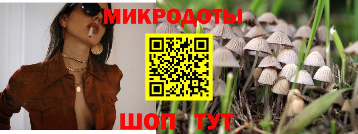 Псилоцибиновые грибы Cubensis  Вход с VPN  Сызрань 